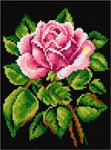 Kanwa z nadrukiem Pachnąca róża