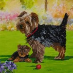 Zestaw do diamond painting kartka - Yorkshire terrier