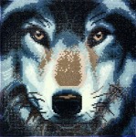 Zestaw do diamond painting obraz - Wilk