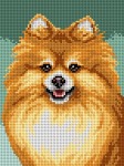 Schemat do haftu - Pomeranian