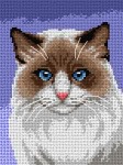 Schemat do haftu - Kot ragdoll