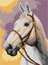 Kanwa z nadrukiem Portret konia