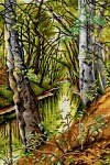 Kanwa z nadrukiem Peder Mork Monsted - Leśny krajobraz z rzeką