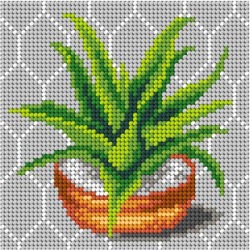 Kanwa z nadrukiem Aloes