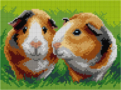 Kanwa z nadrukiem Świnki morskie