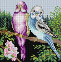 Kanwa z nadrukiem Papugi