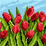 Kanwa z nadrukiem Grządka tulipanów