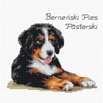 Schemat do haftu Berneński Pies Pasterski