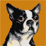 Schemat do haftu Boston Terrier