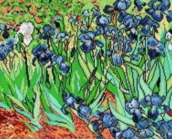 Schemat do haftu V. van Gogh Irysy