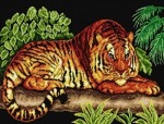 Schemat do haftu Tygrys