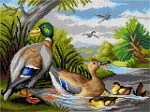 Kanwa z nadrukiem Jacob Bogdani - Kaczki na rzece