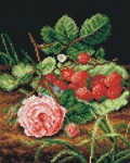 Schemat do haftu O.D Ottesen Róża z truskawkami