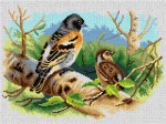 Schemat do haftu Archibald Thorburn - Ptaki Wysp Brytyjskich