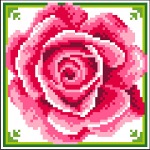 Kanwa z nadrukiem Róża
