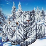 Zestaw do diamond painting kartka - Tygrysy