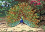 Kanwa z nadrukiem Archibald Thorburn - Paw i motyl