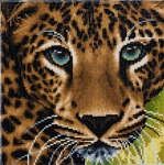 Zestaw do diamond painting obrazek - Lampart